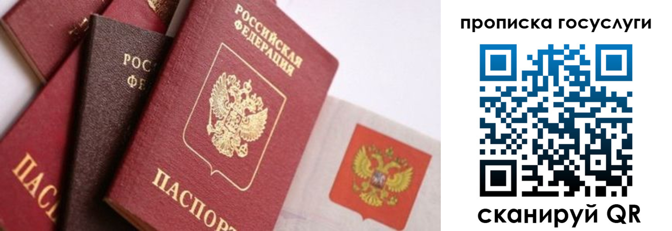 прописка законно в Мегионе
